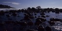 04-05 Or 17 Oregon Coast 1