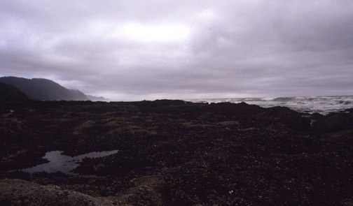 04=05 Oregon Coast