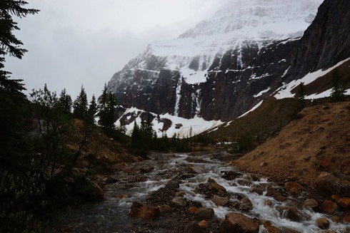 07-12 DSC 0047 Cavell Meadows Trail