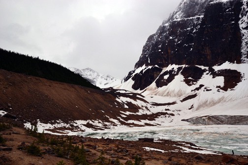 07-12 DSC 0098 Path of the Glacier