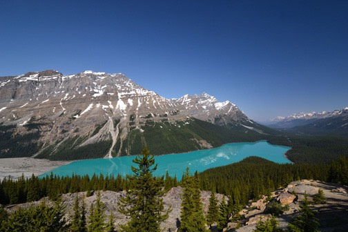 07-12 DSC 0110 Peyto Lake 2