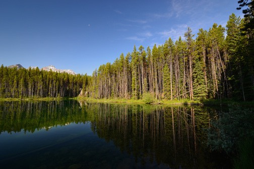 07-12 DSC 0240 Herbert Lake 4