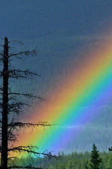 07-12 DSC 0325 Marmot Basin Rainbow 1
