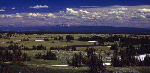 09-94 libby flats