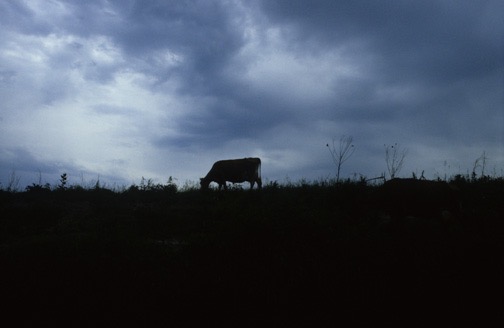 85-06 Wisconsin Scene Kickapoo River