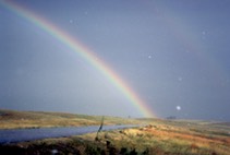 86-08 Black Hills Rainbow