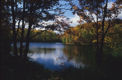 88-11 Roadside  Lake Minnesota