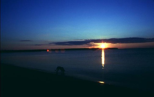 n RockySunset