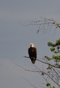 v06-13_DSC_0210