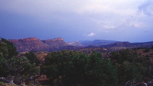 09-98 egs lower muley twist lg