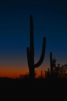 02-13_DSC_0222_Saguaro Sunset 2