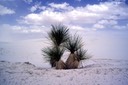 05-99 White Sands 3