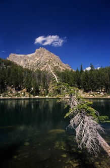 07-03 16 South Teton from Surprise Lake