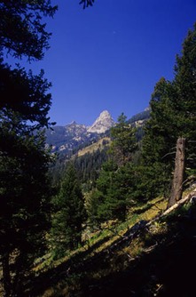 07-03 19 Middle Teton with Moon