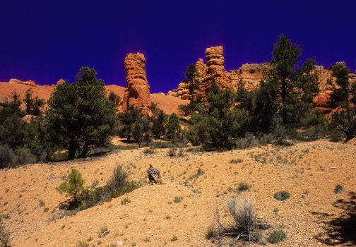 07-09 bryc aRed Rock Canyon