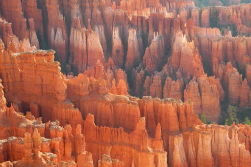 07-09 bryc Hodos Bryce DSCN1770