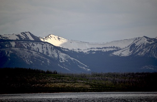 07-11 DSC 0070 Absaroka Range
