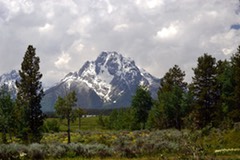 07-11 DSC 0193 Mount Moran 1