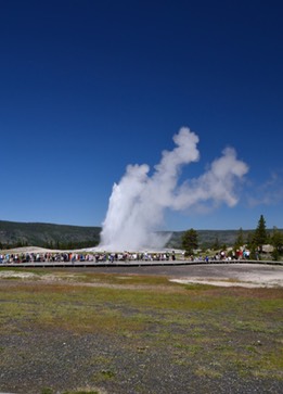 07-11 DSC 0312Old Faithful