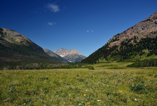 07-12 DSC 0452Red Rock Parkway View I
