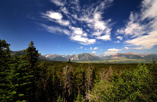 07-12 DSC 0497 Clark Range