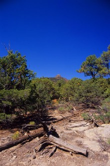 10-02 zzz 15 Saint Peters Dome 2