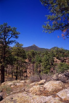 10-02 zzz 16 Saint Peters Dome 3