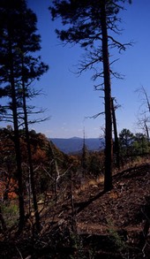 10-02 zzz 21 Tetilla Peak View