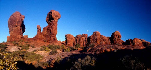 10-95 arc garden of eden lg