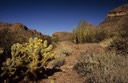 12-08 opc Diablo Mountains Trail