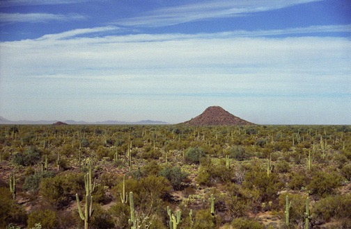 12-08 tuc Parklink Road Trail